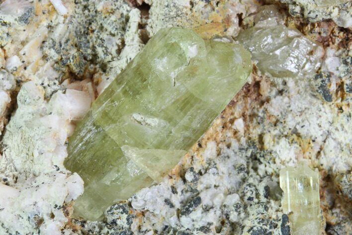 Lustrous Yellow Apatite Crystals on Feldspar - Morocco #84328